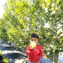 늘햇살만우농촌마을 이미지