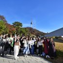 뷰티에코 코리아 이미지