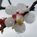 평사리공원1 이미지