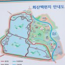 무안 회산백련지 - 청솔 이미지