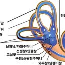 오대가한의원 이미지