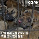 주식회사 이노바이오 네이버블로그