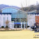 나무테크 이미지