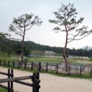 운주산펜션 이미지