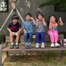 놀이터2 | 대구 남구 주말 아이랑 갈만한 곳 캡틴태권도 유아 놀이터