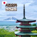 백조약수터 | 일본 벚꽃 개화시기 시즈오카 여행 후지산 아라쿠라야마 센겐공원