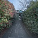 성산구 ⓒ-11 | 제주동쪽가볼만한곳 찾는다면 성산 제주레일바이크에서 레일바이크와 동물체험 추천