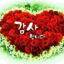 숲속이레한의원 | 이레 한의원(덕소) 원장,이홍민 박사/국가유공자 민원지원 센터/전문 안경사 경영,빈야드 안경(외대앞역...