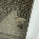 센트럴 S타운 이미지