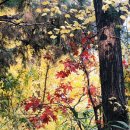 경희김주원한의원 이미지