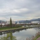 동해이발관 네이버블로그