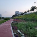 창릉천수변공원 네이버블로그