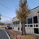 거류면보건지소 이미지