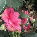 유원농장 이미지