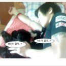 까미랑 몽이 이미지