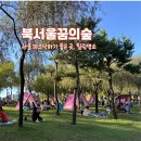 도봉-도봉-서울도봉-2155 | 서울 북서울꿈의 숲 :: 피크닉 하기 좋은 자연 힐링 명소