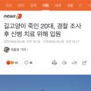 길고양이 죽인 20대, 경찰 조사후 신병 치료 위해 입원 이미지