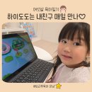 하이도도 후기 6개월 유아영어 발음 터져요