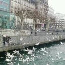 호구포한의원 이미지