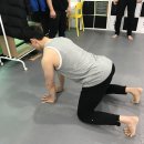 핏플로우 짐 이미지