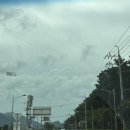 구례뽑기방 | 구례도 좋지아니한가 ㅣ 구례여행 2편