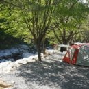 자우림캠핑장 이미지