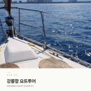 8요트트립 | 강릉 요트투어 추천ㅣ1시간만에 요트투어에 스냅사진까지 건진 후기