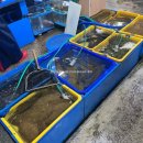 삼호상회 이미지