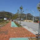 곰소장모님젓갈 이미지