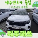 행복카써비스 | 제주 렌터카 가격 비교는 필수! 제주패쓰 최저가 검색부터 땡큐제주 실제 이용 후기까지