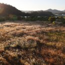 낙동강자전거길5 이미지