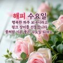 수요일 - 군산시 상지곡1길 14-6 | 수요일