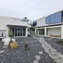 나잇플라잇 이미지