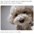 밈
