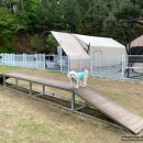 멍글멍글 이미지