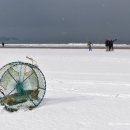 사구해수욕장2 이미지