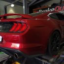 에코사운드 이미지