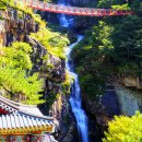 [야간]웰빙생활요리 이미지