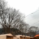 산성큐