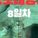 모텔골든타임 이미지