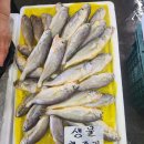 강동수산 티스토리