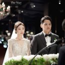 스테이그라피 이미지