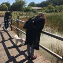 우리물텀벙 이미지