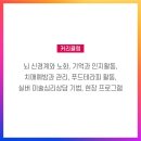 노인심리상담사1급 이미지