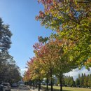 문화예술회관 | 함안문화예술회관 사랑해엄마 후기