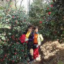 아리엘언니 이미지