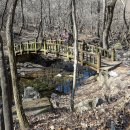 식장산 숲길 이미지