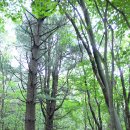 스타인목장 이미지