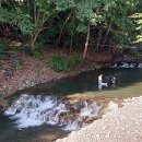 성주우리쉼터 이미지