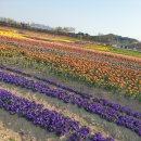 토마토빌리지펜션 이미지